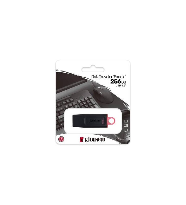 PEN DRIVE KINGSTON DTX/256GB 256GB - USB-A 3.2 Nero/Rosa