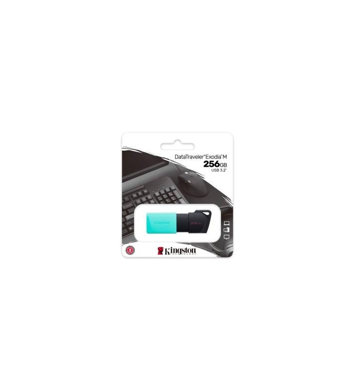 PEN DRIVE KINGSTON 256GB DTXM/256GB USB-A 3.2 Nero/Azzurro