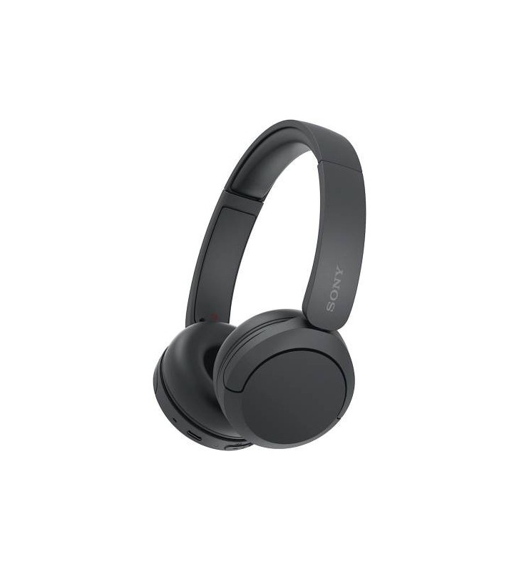 Sony Cuffie Wir/BT Mic WH-CH520 Black