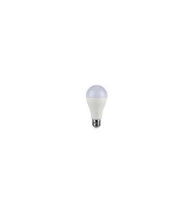 LAMPADINA A LED 15W E27 A65...