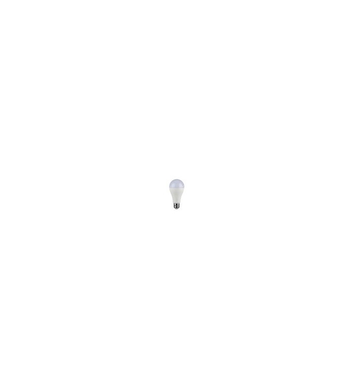 LAMPADINA A LED 15W E27 A65 4000K (214454)