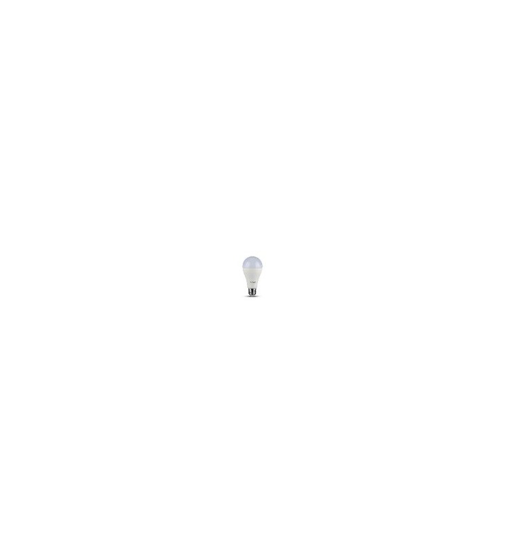 LAMPADINA A LED VT-2017 17W E27 A65 4000K (214457)