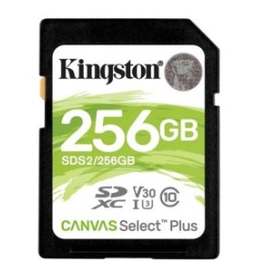 SECURE DIGITAL KINGSTON 256...