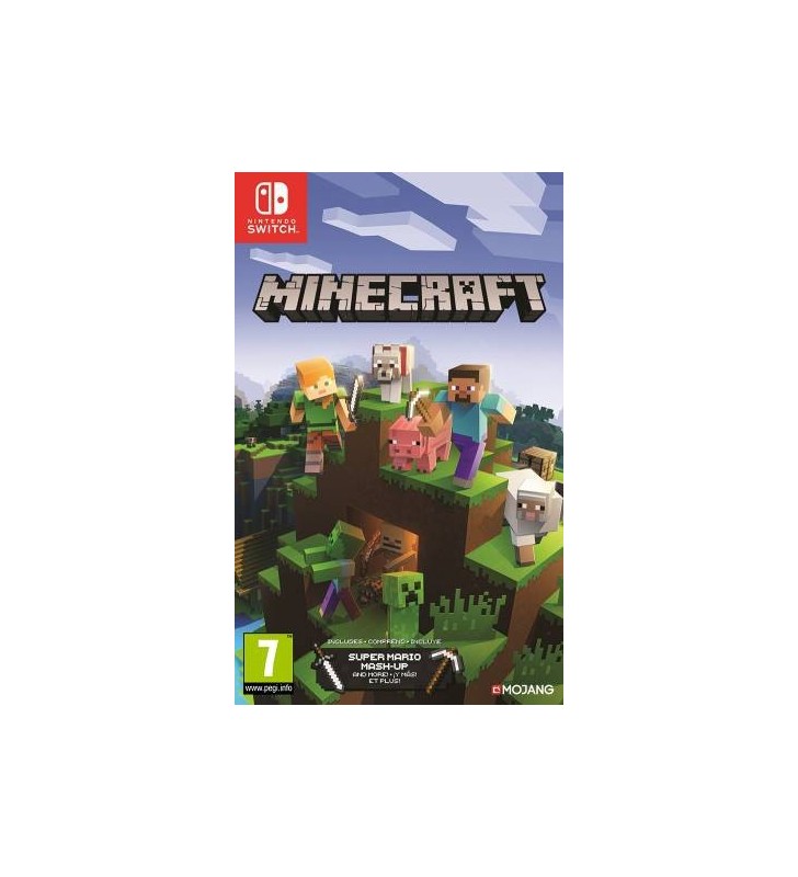 Switch Minecraft